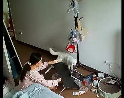 she just wanted to relax and eat her food.