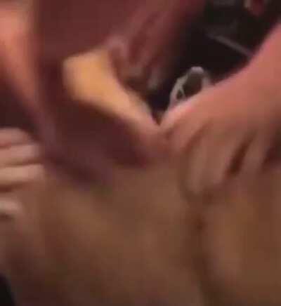 Chat quando o lobinho aparece