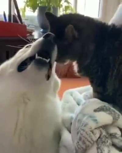 В любом случае, не стоит расслабляться...