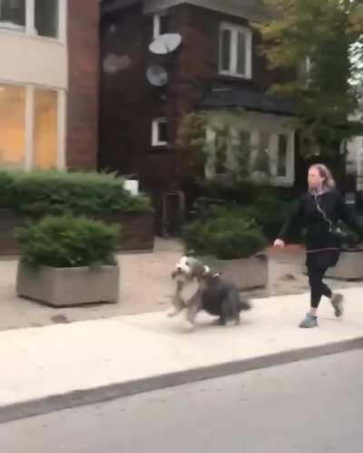 Oh Boy, We're Walking!