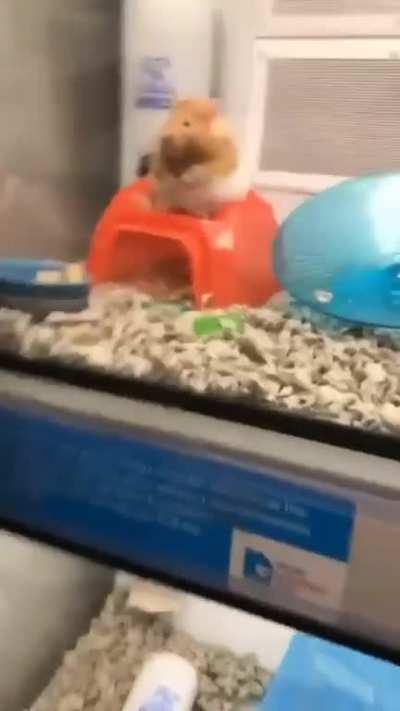 Example of working hard & hardly working