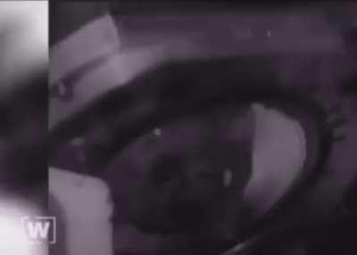 haha oder genau so dass Frauen hinter dem Herd gehören😂😂😂und jetzt sind Frauen in der Politik 🤢🤢🤮🤮😂😂