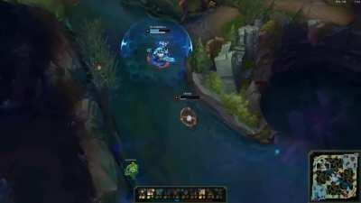 Qiyana abuses a feral cat