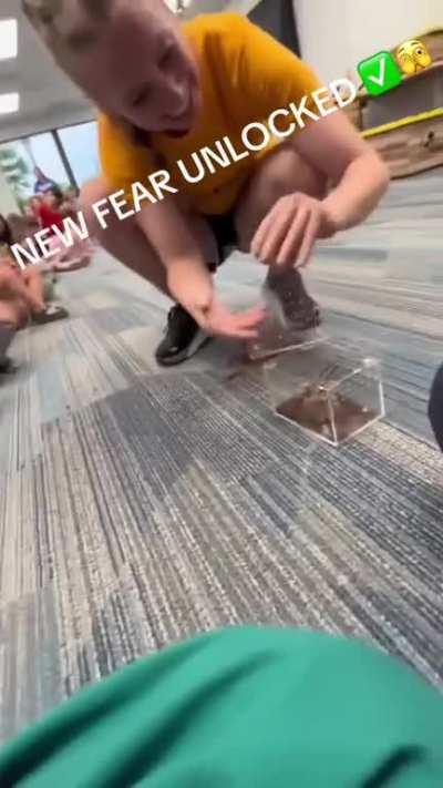 To show him the tarantula 