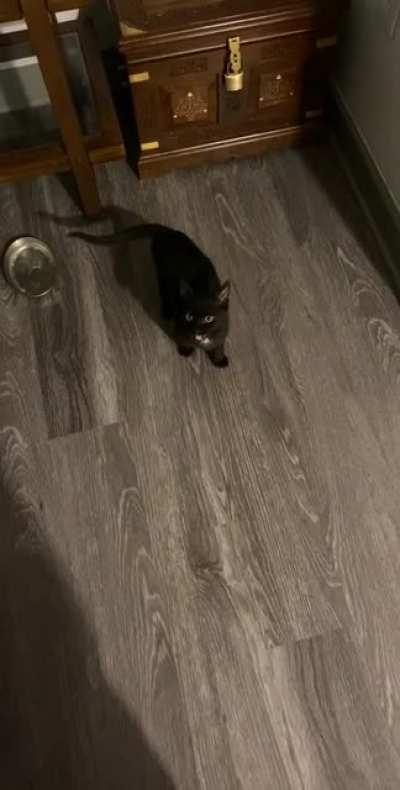 Hangry girl Sabrina wanted to speak to the manager about her empty bowl