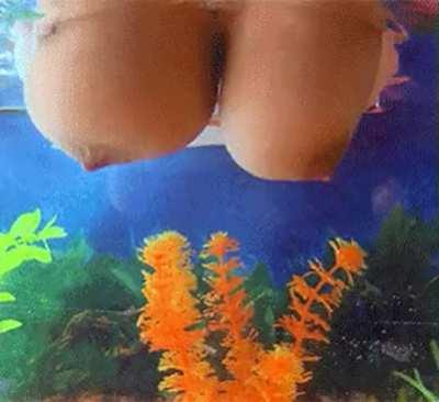 Bouncing in aquarium