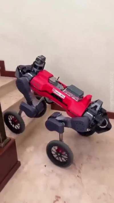 Robot that’s known as future of mobility