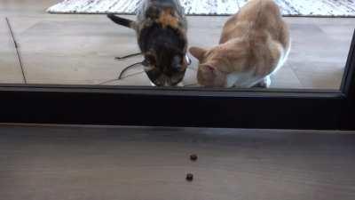 So close yet so far...