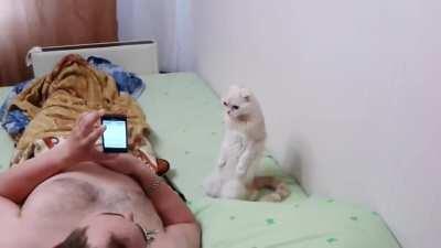 Cat Stands for Russian National Anthem