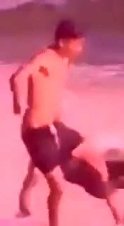 Sítio do pika-penis amarelo