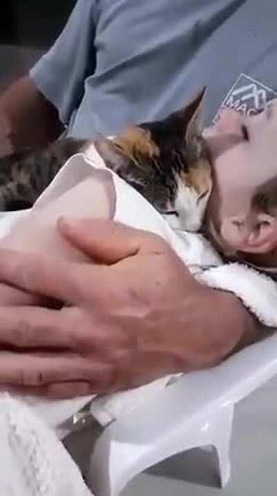 The pet is always king of the household.