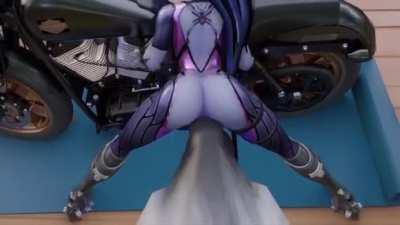 Widowmaker X Horse (Thebartender)