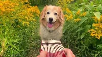 a rest from the gay porn