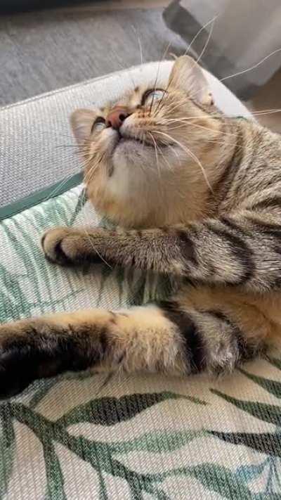 It’s worth listening to the whole thing! This bish CHIRPS!