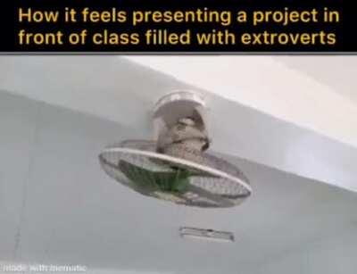 Daily life of an introvert