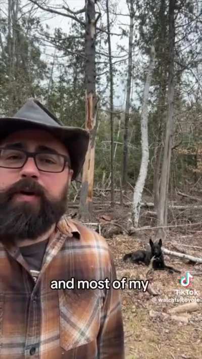 Family Torn Apart in Waldo County, Maine: Father Detained by ICE, Wife Released in Woods at 1 AM