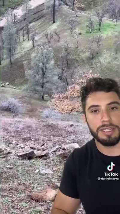 as mulheres nao intenderiam