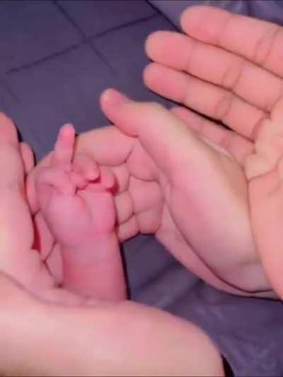 Докопались