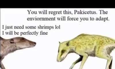 This is history (context in the past)