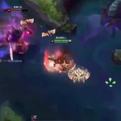 I love this champion