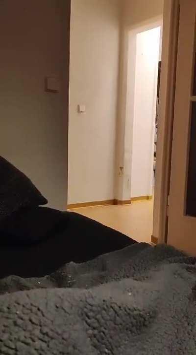 I checked security footage from my home last night. Couldn't believe my own eyes when I saw this criminal passing by. Send help