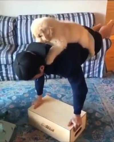 Puppy workout