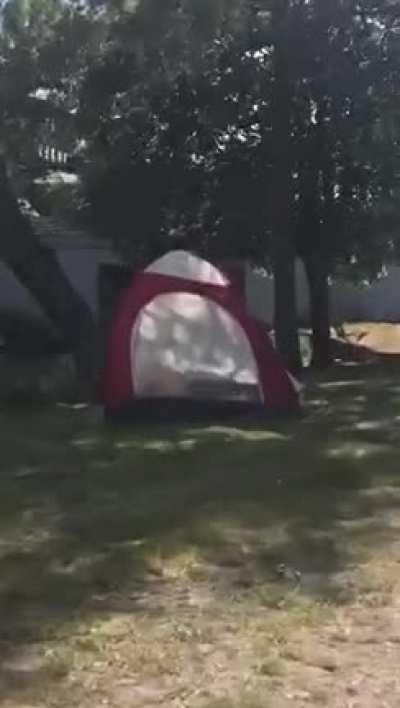 Beside the Grand Canal on a lovely sunny day in Dublin