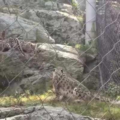 Jesus, you gave me the big startle!