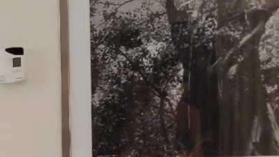 Andrea Botez nude (barely visible)