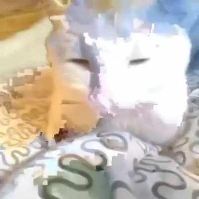 nem eu entendi isso.