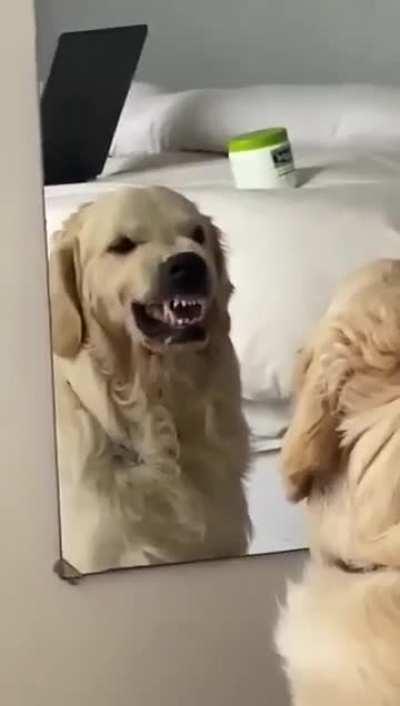 Trying out some fierce faces…