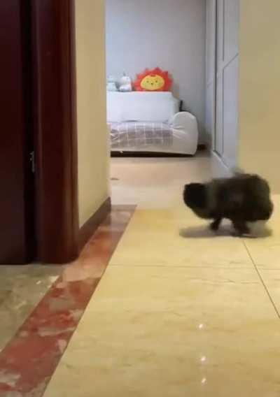 <Insert cartoon noises here.>