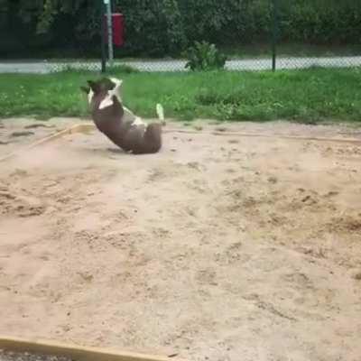 Dоes Тhis Соunt . . .