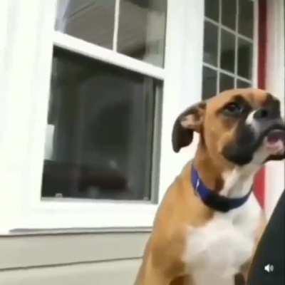 PLS JAKEY, watch this video...