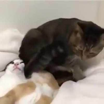 Yes.. this looks like a good place to sit