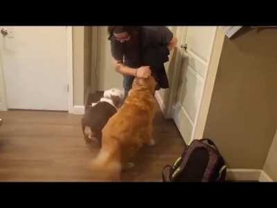 Me returning from a trip to see family for 10 days.. think they missed me? 😂