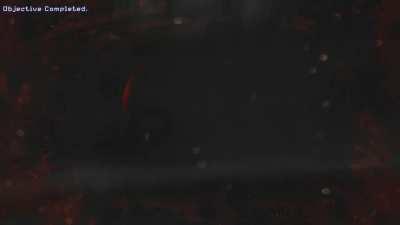 Kaido trusted you...