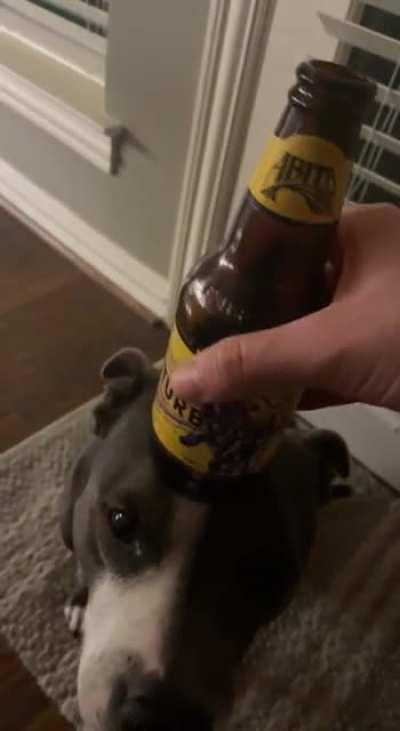 One second before I trust my dog and I make a mess