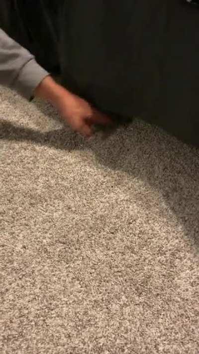 This is a dangerous game