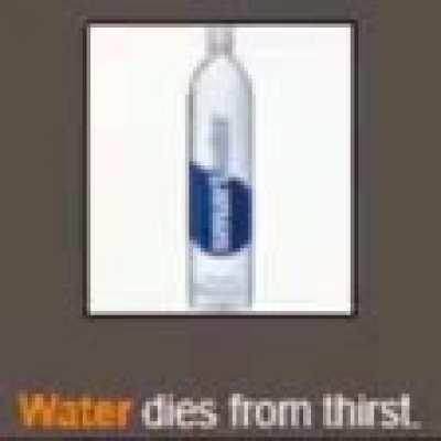 Does somebody know what this song is?