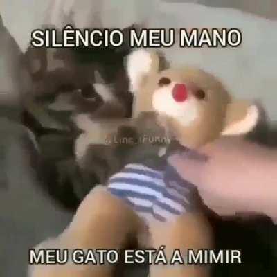 Silêncio meu mano meu gato esta a mimir Zzzz