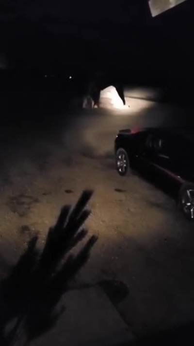 Native American myth of little people, caught on camera....