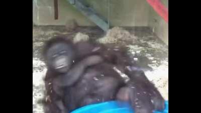 I learnt to merge PNG gifs just to make this: