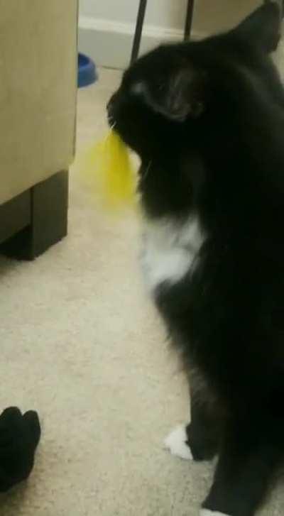 The struggles of having a velcro tongue...