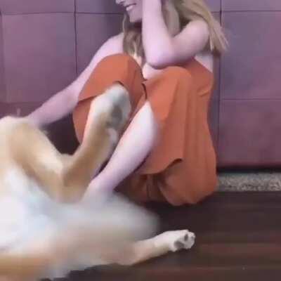 Don't be sad....have some aggressive cuddling