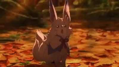 Me looking at apandah hentai (slowly turning gay)