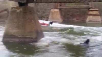 Mr Boat is tired of your shit