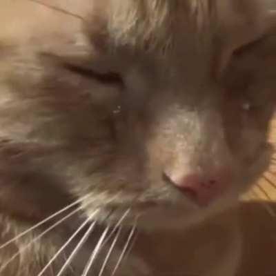 Someday we will get this in CDQ... Right guy's? :(