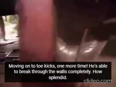 2 Minutes of NJPW Wrestlers Trying to Do House Demoliton Without Any Equipment