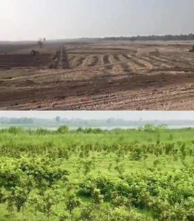 This is simply amazing!